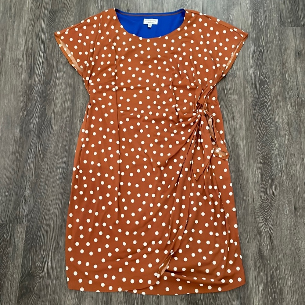 Brown and White Dot Dress